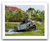 Wiesel_1_turret_machine_gun_12-7_mm_light_airborne_armoured_vehicle_Germany_German_Army_002.jpg