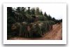 Leopard_2a4_main_battle_tank_Germany_German_Army_015.jpg