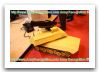 sim-racar-lambda_tactical_bullet_proof_surveillance_tracked_robot_sim_security_electronic_system_Germany_German_001.jpg