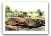 Leopard_2a6_main_battle_tank_Netherlands_Dutch_army_012.jpg
