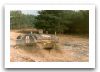 ypr-765_prgwt_battle_field_ambulance_tracked_light_armoured_vehicle_Dutch_Army_Netherlands_004.jpg
