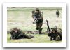 Combat_field_uniforms_soldiers_Dutch_army_Netherlands_005.jpg
