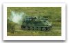 pbv-302_tracked_light_armoured_vehicle_personnel_carrier_Swedish_Army_Sweden_004.jpg