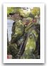 soldiers_combat_military_army_field_uniforms_Sweden_Swedish_004.jpg