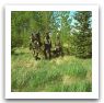 RBS70_sol_air_missile_defense_system_Swedish_Army_Sweden_005.jpg