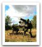 RBS70_sol_air_missile_defense_system_Swedish_Army_Sweden_002.jpg