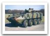 Piranha_11.jpg
