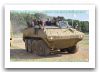 Piranha_III_mowag_wheeled_armoured_personnel_carrier_006.jpg