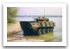 Piranha_12.jpg
