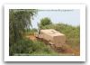 Foxhound_LPPV_Light_Protected_Patrol_Vehicle_United_Kingdom_British_army_007.jpg