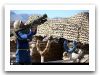 Misagh-2_man_portable_air_defence_missile_system_MANPAD_Iran_Iranian_army_defence_industry_military_technology_003.jpg