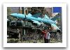 Sayyad-1_mobile_station_ground-to-air_missile_system_Iran_Iranian_arm_defence_industry_military_technology_009.jpg