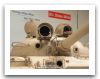 T-62_Irak_17.jpg