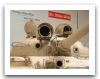 T-62_Irak_21.jpg