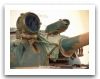 Type_69_irak_10.jpg