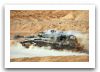 Merkava_4_IV_main_battle_tank_Israeli_Army_Israel_018.jpg