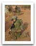 Israeli_Soldier_picture_news_08.jpg
