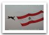 commando_regiment_special_forces_Lebanese_army_SMES_defence_security_exhibition_Beyrouth_Lebanon_008.jpg