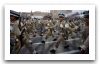 soldiers_combat_military_field_dress_uniforms_Libya_Libyan_army_002.jpg