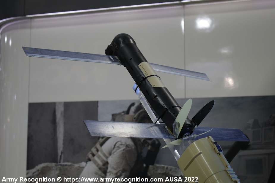 Iran tests Sina loitering munition copy of American made Switchblade 300 925 003