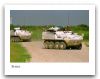Bison_Piranha_1_wheeled_armoured_vehicle_personnel_carrier_Canada_Canadian_army_017.jpg