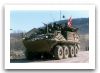 Bison_Piranha_1_wheeled_armoured_vehicle_personnel_carrier_Canada_Canadian_army_011.jpg
