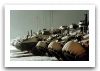 Bison_Piranha_1_wheeled_armoured_vehicle_personnel_carrier_Canada_Canadian_army_014.jpg