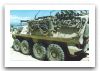 Bison_Piranha_1_wheeled_armoured_vehicle_personnel_carrier_Canada_Canadian_army_010.jpg