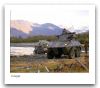 Piranha_1_Cougar_wheeled_armoured_combat_vehicle_Canada_Canadian_army_018.jpg