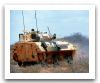 Piranha_1_Cougar_wheeled_armoured_combat_vehicle_Canada_Canadian_army_025.jpg