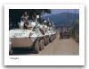 Piranha_1_Cougar_wheeled_armoured_combat_vehicle_Canada_Canadian_army_022.jpg