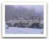 Piranha_1_Cougar_wheeled_armoured_combat_vehicle_Canada_Canadian_army_028.jpg