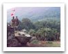 Piranha_1_Cougar_wheeled_armoured_combat_vehicle_Canada_Canadian_army_031.jpg