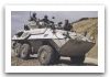 Piranha_1_Cougar_wheeled_armoured_combat_vehicle_Canada_Canadian_army_007.JPG