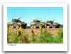 Piranha_1_Cougar_wheeled_armoured_combat_vehicle_Canada_Canadian_army_021.jpg