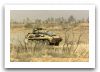 Coyote_LAV-1_wheeled_armoured_reconnaissance_vehicle_Canada_Canadian_army_055.jpg