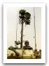 Coyote_LAV-1_wheeled_armoured_reconnaissance_vehicle_Canada_Canadian_army_030.jpg