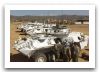 Coyote_LAV-1_wheeled_armoured_reconnaissance_vehicle_Canada_Canadian_army_048.jpg
