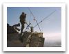 Coyote_LAV-1_wheeled_armoured_reconnaissance_vehicle_Canada_Canadian_army_029.jpg