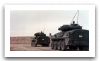 Coyote_LAV-1_wheeled_armoured_reconnaissance_vehicle_Canada_Canadian_army_028.jpg