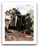 Grizzly_Canada_Otan_10.jpg