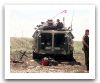 Grizzly_Canada_Otan_13.jpg