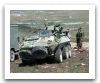 Grizzly_Canada_Otan_01.jpg