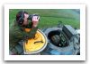 Grizzly_Canada_Site_11.jpg