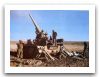 m107_4.jpg