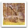 M109_self-propelled_tracked_armoured_vehicle_United_States_US_army_016.jpg