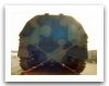m992_faasv_Field_Artillery_Ammunition_Supply_Vehicle_tracked_armoured_United_states_US_Army_007.jpg