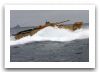 EFV_Expeditionary_Fighting_Vehicle_amphibious_tracked_armoured_vehicle_United_states_US-Army_013.jpg
