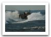 EFV_Expeditionary_Fighting_Vehicle_amphibious_tracked_armoured_vehicle_United_states_US-Army_014.jpg