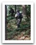 Us-army_soldiers_uniform_United_States_014.jpg